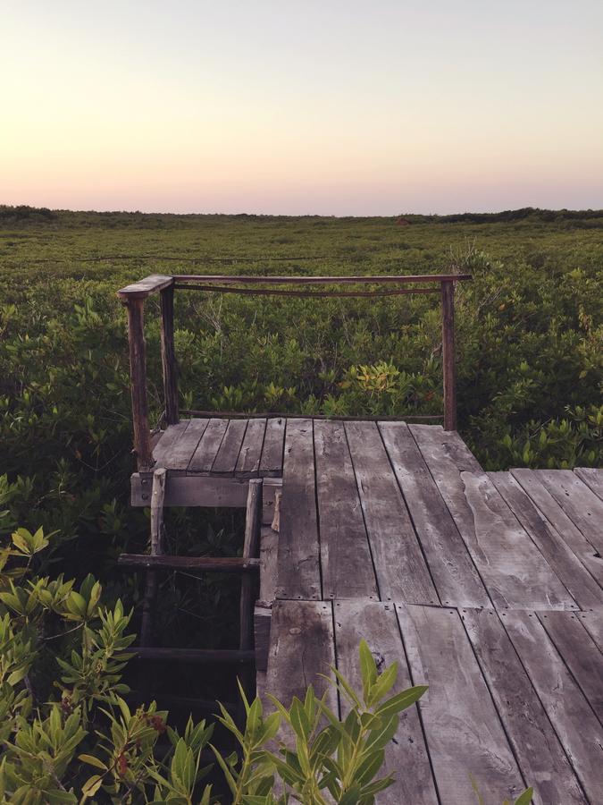 Nativus Glamping & Cenote Tulum Hotel Екстериор снимка