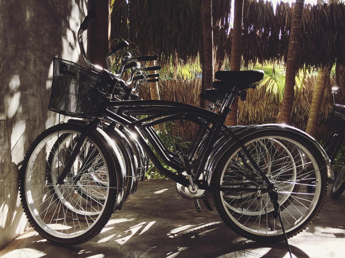 Nativus Glamping & Cenote Tulum Hotel Екстериор снимка