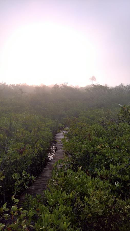 Nativus Glamping & Cenote Tulum Hotel Екстериор снимка